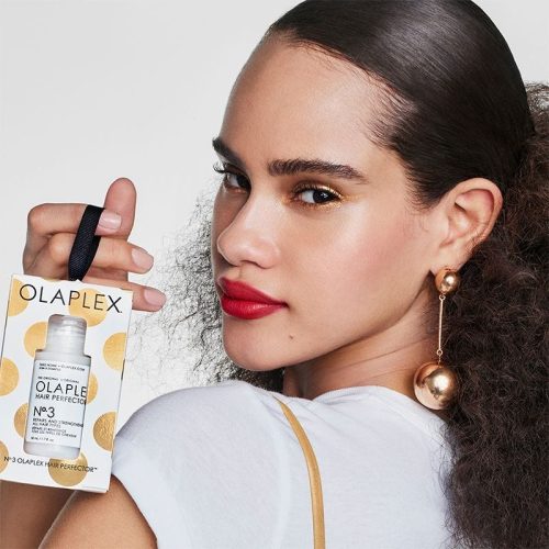 Olaplex Hair Care Olaplex No.3 Gifting Ornament